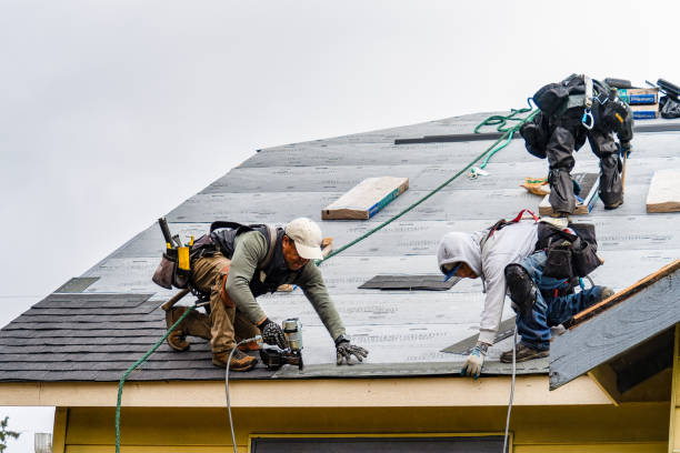 Professional Roofing technician working in Lopez Island, WA